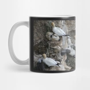 Stretch Mug